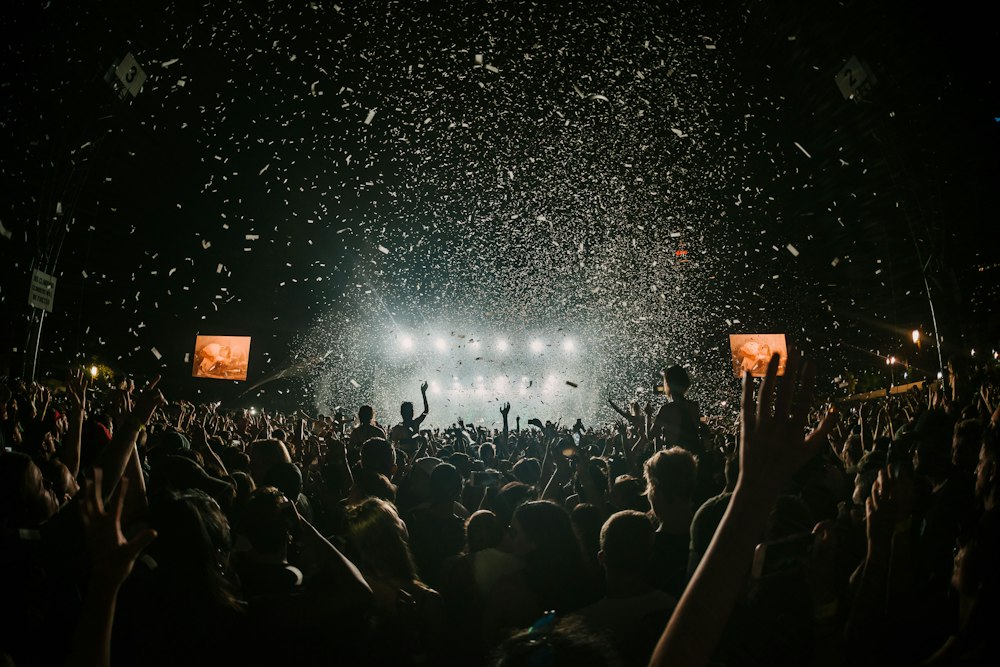 Festival crowd hands